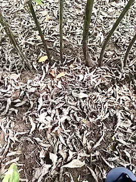 JAZZYS8 online show from 10-01-25, 07:47