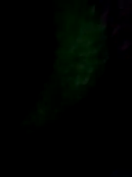 Snapshot of royall_queen chatting on 01-14-26, 07:36 royall queen online show from 01-14-26, 07:36