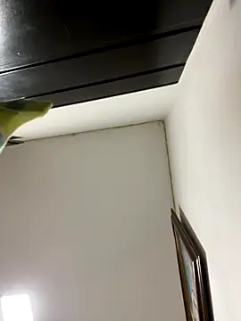 Snapshot of FreyrVik chatting on 10-04-25, 05:38 FreyrVik online show from 10-04-25, 05:38