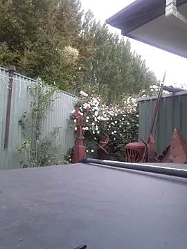 Snapshot of TAIZ69WORLD chatting on 11-05-25, 06:24 TAIZ69WORLD online show from 11-05-25, 06:24