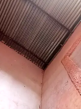 Snapshot of 317894 chatting on 11-21-25, 01:54 317894 online show from 11-21-25, 01:54