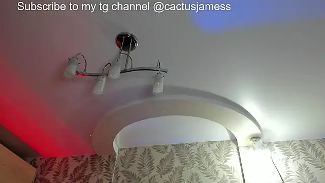 Snapshot of Cactus__James chatting on 02-21-26, 08:10 Cactus James online show from 02-21-26, 08:10