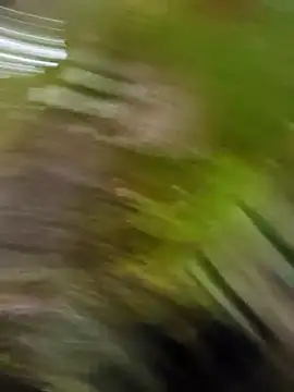 Pichoneterno online show from 03-08-26, 12:09