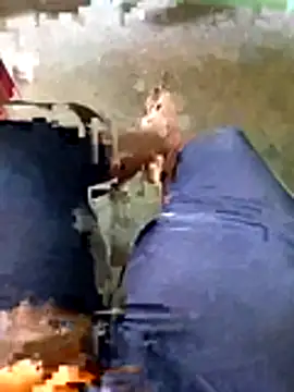 A-1PLAYBOY0 online show from 04-28-26, 06:07