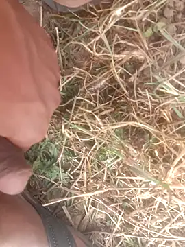 perplexedsoul online show from 12-01-25, 09:14