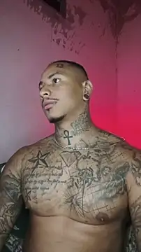 David tatto1 online show from 02-14-26, 03:58