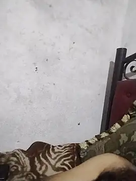 salimbasha online show from 06-15-26, 02:58