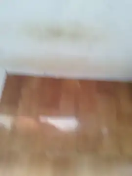 O Mascarado NK online show from 03-21-26, 12:43