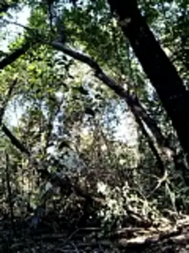 KalendaXL online show from 04-04-26, 02:47