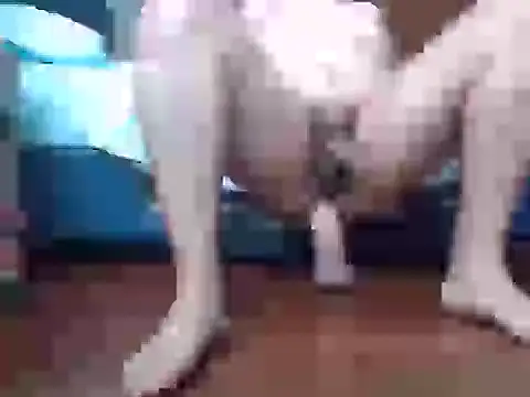 Snapshot of Culazodeantonellarocuzzo chatting on 09-15-25, 03:34 Culazodeantonellarocuzzo online show from 09-15-25, 03:34