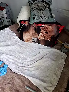 Wilsonn86 online show from 02-09-26, 08:29