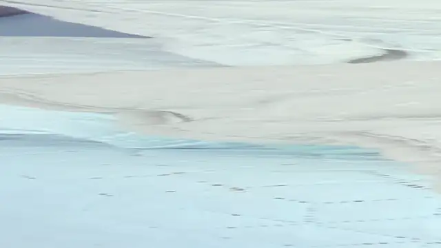 Snapshot of crystal_sm chatting on 09-18-25, 03:08 crystal sm online show from 09-18-25, 03:08