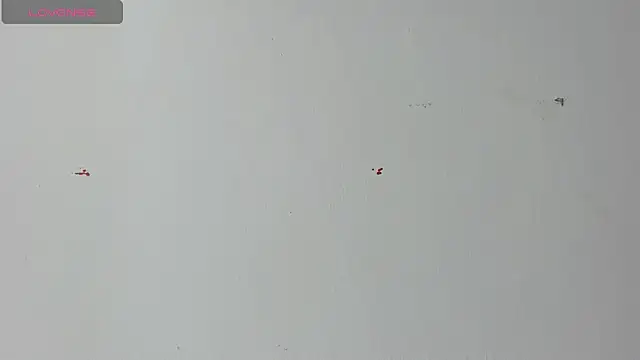 Lady miss    online show from 04-18-26, 12:20