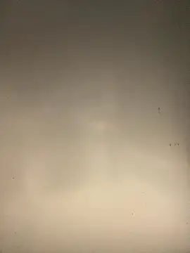 Snapshot of sasatimido chatting on 10-14-25, 03:13 sasatimido online show from 10-14-25, 03:13