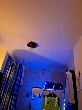 a7ex online show from 12-15-24, 02:30