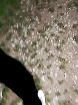 Snapshot of ARTANIS20 chatting on 10-21-25, 08:20 ARTANIS20 online show from 10-21-25, 08:20