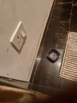 Snapshot of HootedTuner chatting on 11-13-25, 08:08 HootedTuner online show from 11-13-25, 08:08