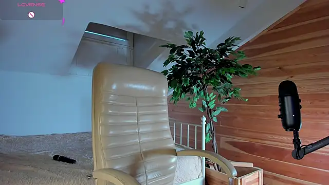 Snapshot of AuroraShoww chatting on 11-20-25, 12:49 AuroraShoww online show from 11-20-25, 12:49