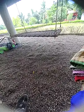 Desi Horny Boys online show from 09-15-25, 06:13