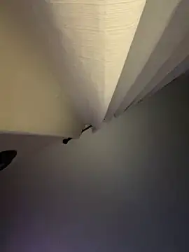 Snapshot of curis4270panda chatting on 09-15-25, 03:17 curis4270panda online show from 09-15-25, 03:17