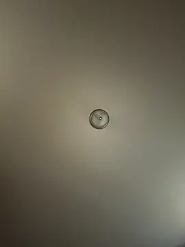 Snapshot of curis4270panda chatting on 10-20-25, 08:42 curis4270panda online show from 10-20-25, 08:42