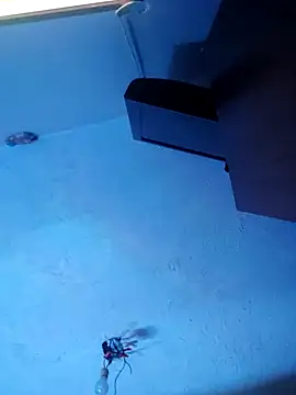 Snapshot of melisa_hot420 chatting on 11-08-25, 08:25 melisa hot420 online show from 11-08-25, 08:25