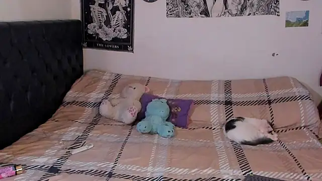 Snapshot of chloe_kisses chatting on 09-25-25, 11:47 chloe kisses online show from 09-25-25, 11:47