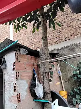 Snapshot of You-sexy-starr chatting on 10-09-25, 04:38 You-sexy-starr online show from 10-09-25, 04:38