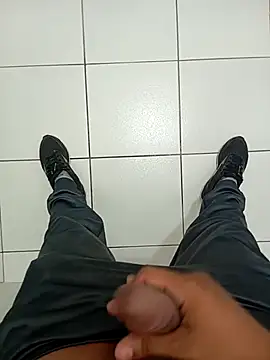 Snapshot of pauzudao_12 chatting on 01-19-26, 04:33 pauzudao 12 online show from 01-19-26, 04:33