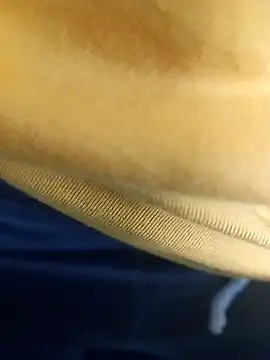 Snapshot of pauzudao_12 chatting on 03-03-26, 09:31 pauzudao 12 online show from 03-03-26, 09:31