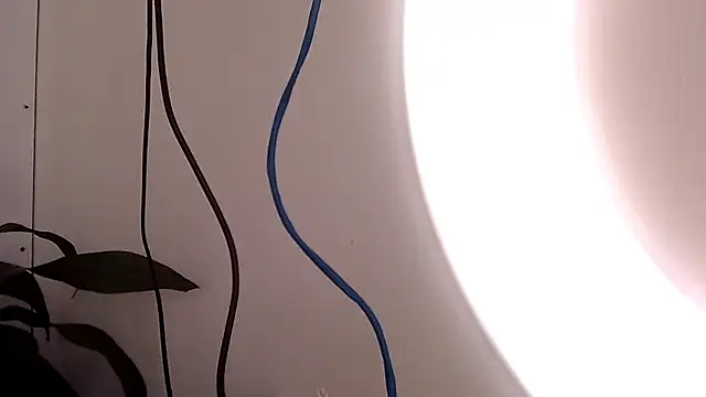 Snapshot of saara_johnson496 chatting on 09-24-25, 03:15 saara johnson496 online show from 09-24-25, 03:15