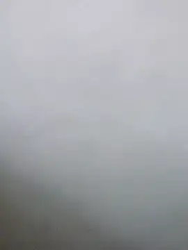 Saikishore00000 online show from 02-03-26, 11:59