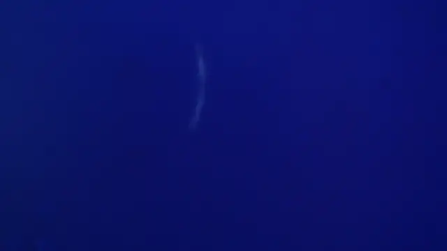 The1BBC online show from 02-12-26, 04:13