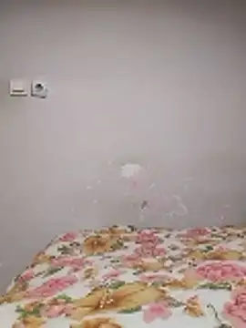 nihattttttttttttttt online show from 01-08-26, 07:49