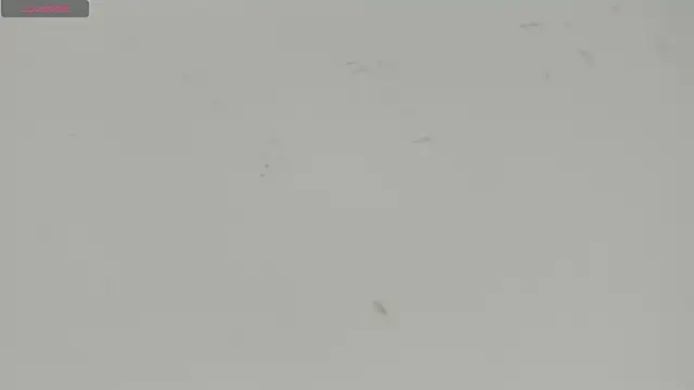 Snapshot of Sophia_Ebony chatting on 07-15-26, 12:10 Sophia Ebony online show from 07-15-26, 12:10