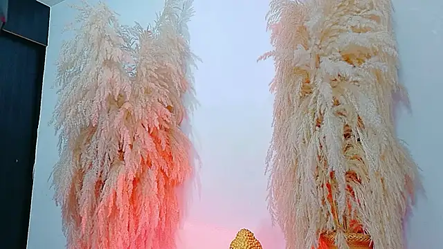 JulietaDavis online show from 02-04-26, 09:37