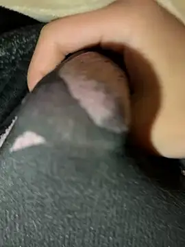 rrrrrriyyffhyeeee online show from 02-16-26, 12:29