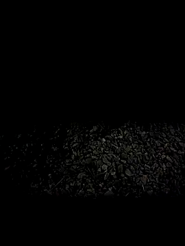 Snapshot of steelwoodVids chatting on 11-19-25, 01:49 steelwoodVids online show from 11-19-25, 01:49