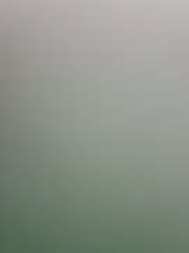 guridosul051 online show from 04-13-26, 11:48