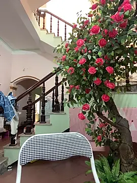 Bollozzy 89 online show from 09-24-25, 04:49