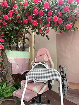 Bollozzy 89 online show from 10-04-25, 04:54