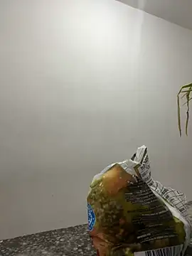 Snapshot of megan_bigboobs_ chatting on 09-14-25, 07:24 megan bigboobs online show from 09-14-25, 07:24