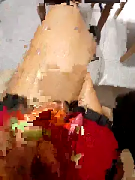 Ori-Lynk online show from 02-08-26, 06:06