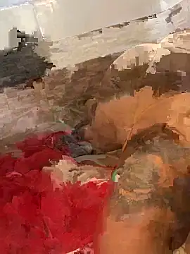 morenaluaa online show from 10-22-25, 04:40