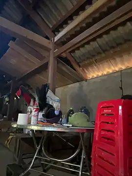 Snapshot of ThiHa003 chatting on 01-18-26, 05:11 ThiHa003 online show from 01-18-26, 05:11