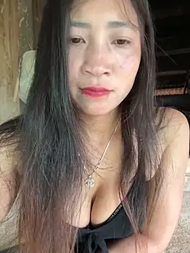 Snapshot of ThiHa003 chatting on 02-26-26, 08:13 ThiHa003 online show from 02-26-26, 08:13