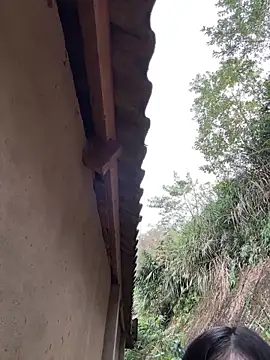 Snapshot of ThiHa003 chatting on 02-27-26, 01:27 ThiHa003 online show from 02-27-26, 01:27