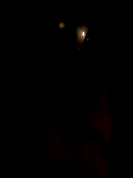 dutch girl lover online show from 10-05-25, 09:07