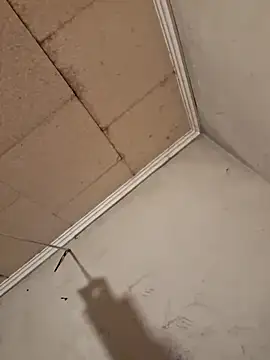 Tudiablita21 online show from 04-06-26, 07:53