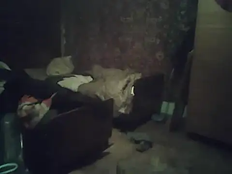 Snapshot of A1B3- chatting on 02-02-26, 03:55 A1B3- online show from 02-02-26, 03:55